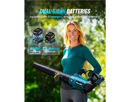 SEESII 40V Leaf Blower Cordless with 2 x 5200mAh battery